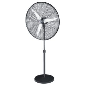 8080